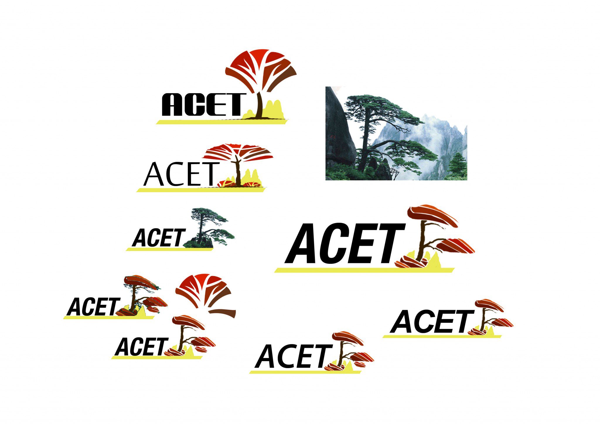 Логотип и Мануал - ACET
