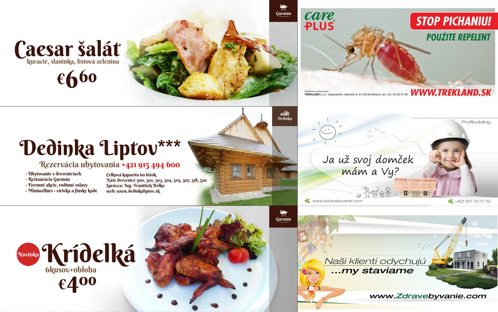 Billboard - Caesar salad, The village Liptov***, Wings, CarePLUS, Profibuilding, Healthy living