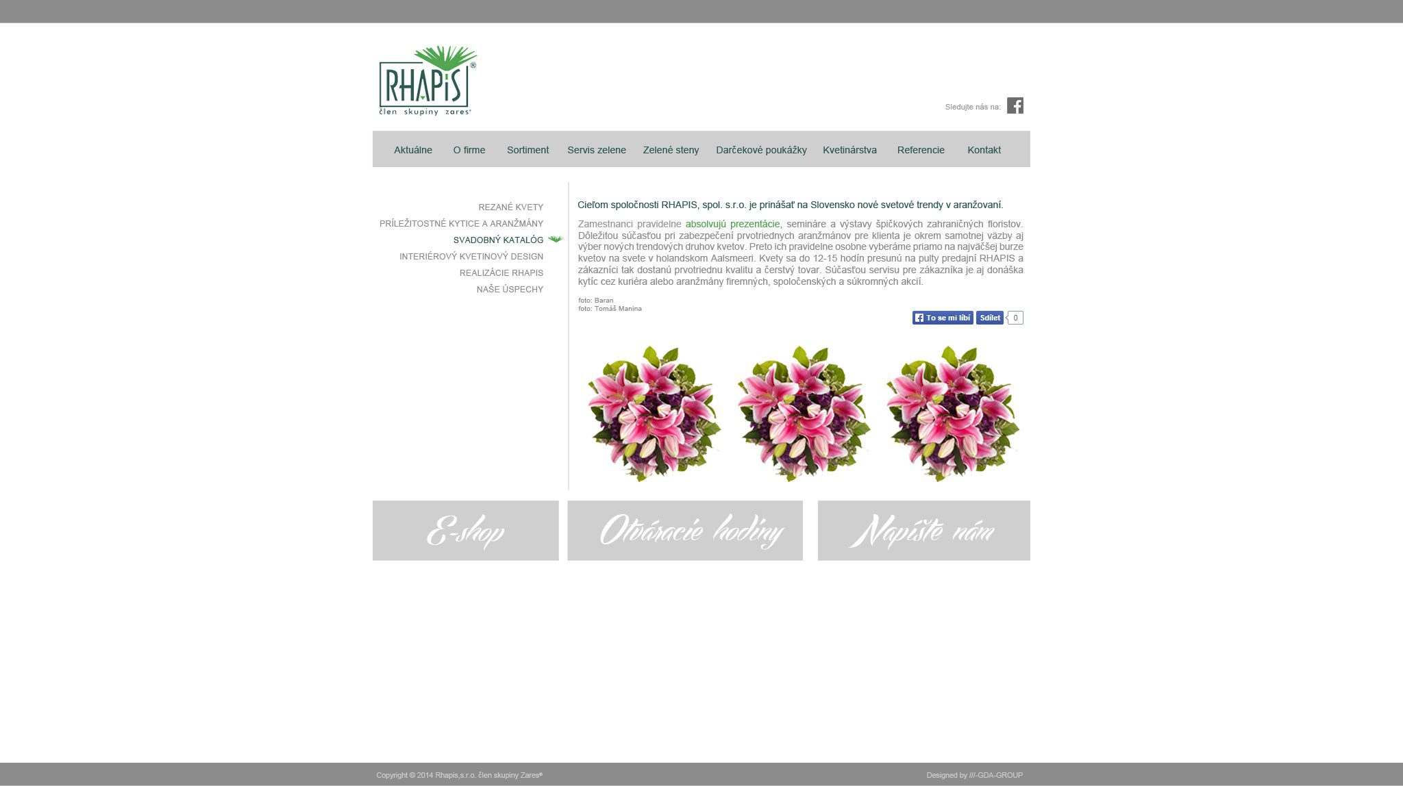 Gestaltung von Webseiten - RHAPIS - Sortiment